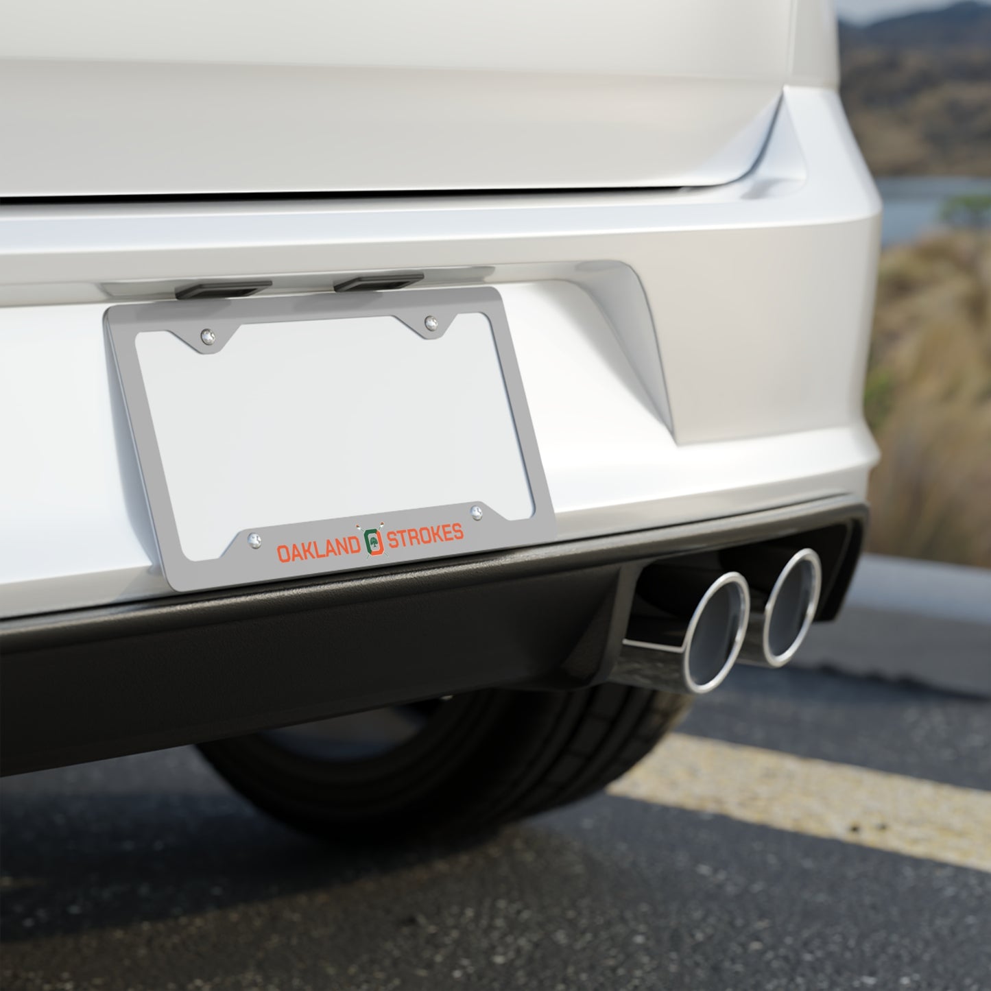 Grey Metal License Plate Frame
